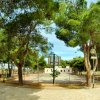 Campo da basket circondato da alberi.